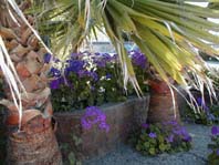 Innovationsfeen, Innovation, Innovationen, Kreativit&auml;t, kreativ, Consulting, Business Consulting, Lean Managament, Erfolgsmanagement, Zufriedenheit, Management, Unternehmensberatung, Kommunalberatung, Feng Shui, 5 Tibeter, Harmonie, harmonisch, Tibeter, Yoga, Entspannung, Frau, Frauen, K&ouml;rper, Spiritualit&auml;t, Intuition, Workshop, Workshops, Supervision, Learning Coaching, Lernendes Unternehmen, Lernende Verwaltung, Lernende Stadt, Tahitian Noni