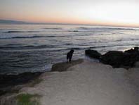 Innovationsfeen, Innovation, Innovationen, Kreativit&auml;t, kreativ, Consulting, Business Consulting, Lean Managament, Erfolgsmanagement, Zufriedenheit, Management, Unternehmensberatung, Kommunalberatung, Feng Shui, 5 Tibeter, Harmonie, harmonisch, Tibeter, Yoga, Entspannung, Frau, Frauen, K&ouml;rper, Spiritualit&auml;t, Intuition, Workshop, Workshops, Supervision, Learning Coaching, Lernendes Unternehmen, Lernende Verwaltung, Lernende Stadt, Tahitian Noni