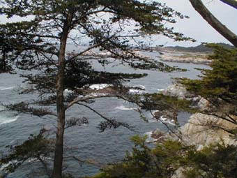 Innovationsfeen, Innovation, Kreativit&auml;t, Consulting, Lean Managament, Harmonie, Human Capital, Human Capital Promotion, All Human Capital Team, Stimmfrequenzanalyse, Institut f&uuml;r Stimmfrequenzanalyse, HUCAP, HARMOVITA, Harmonie und Vitalit&auml;t, Innere Fitness, Sailing Coaching, Meditation, Stressmanagement, Wellness, wohlf&uuml;hlen, Frauen, Tahitian Noni, Coaching, Unternehmensberatung, Kommunalberatung, Prozessprototyping, Lernende Organisation, Lernendes Unternehmen, Wertsteigerung, Supervision